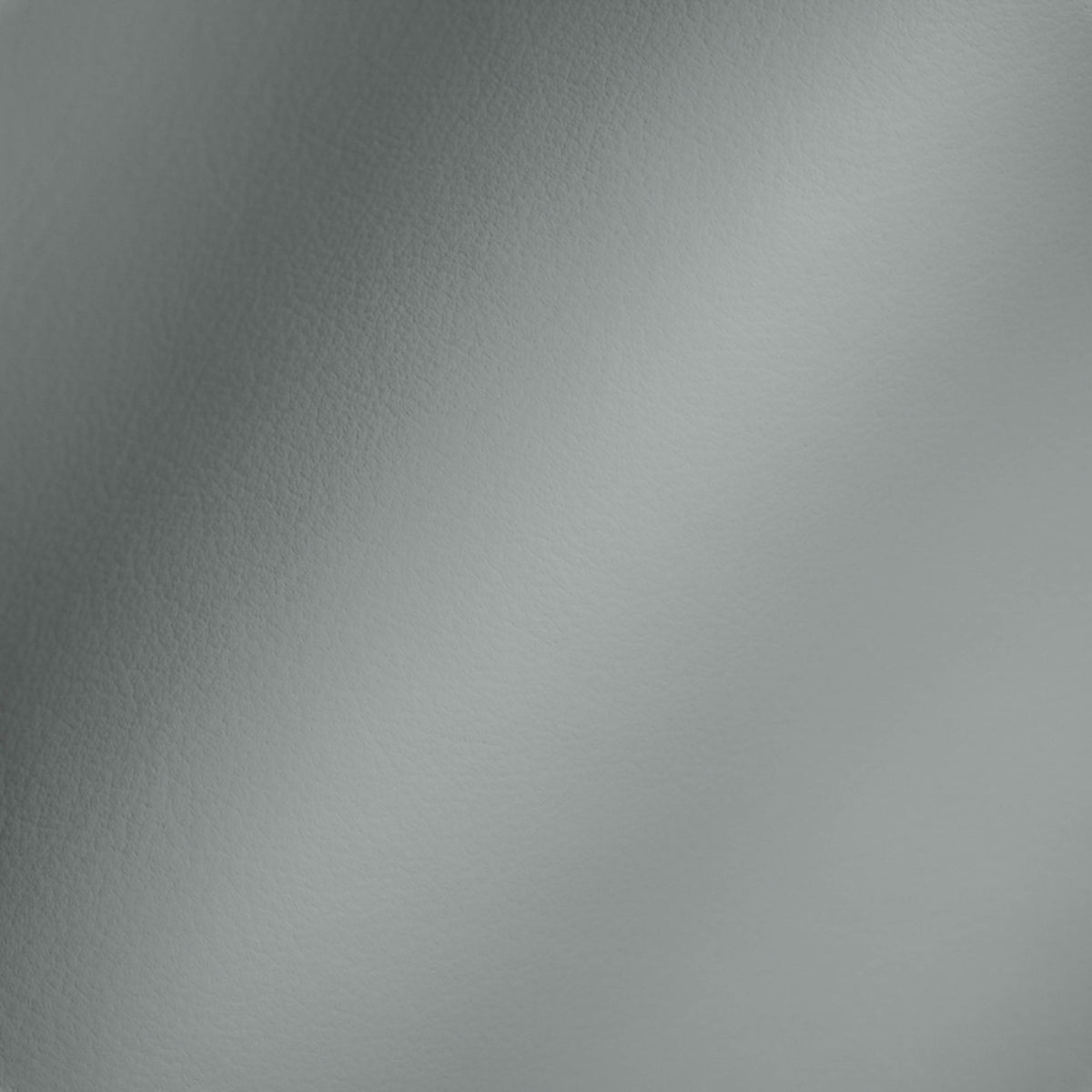 Vegan Leather