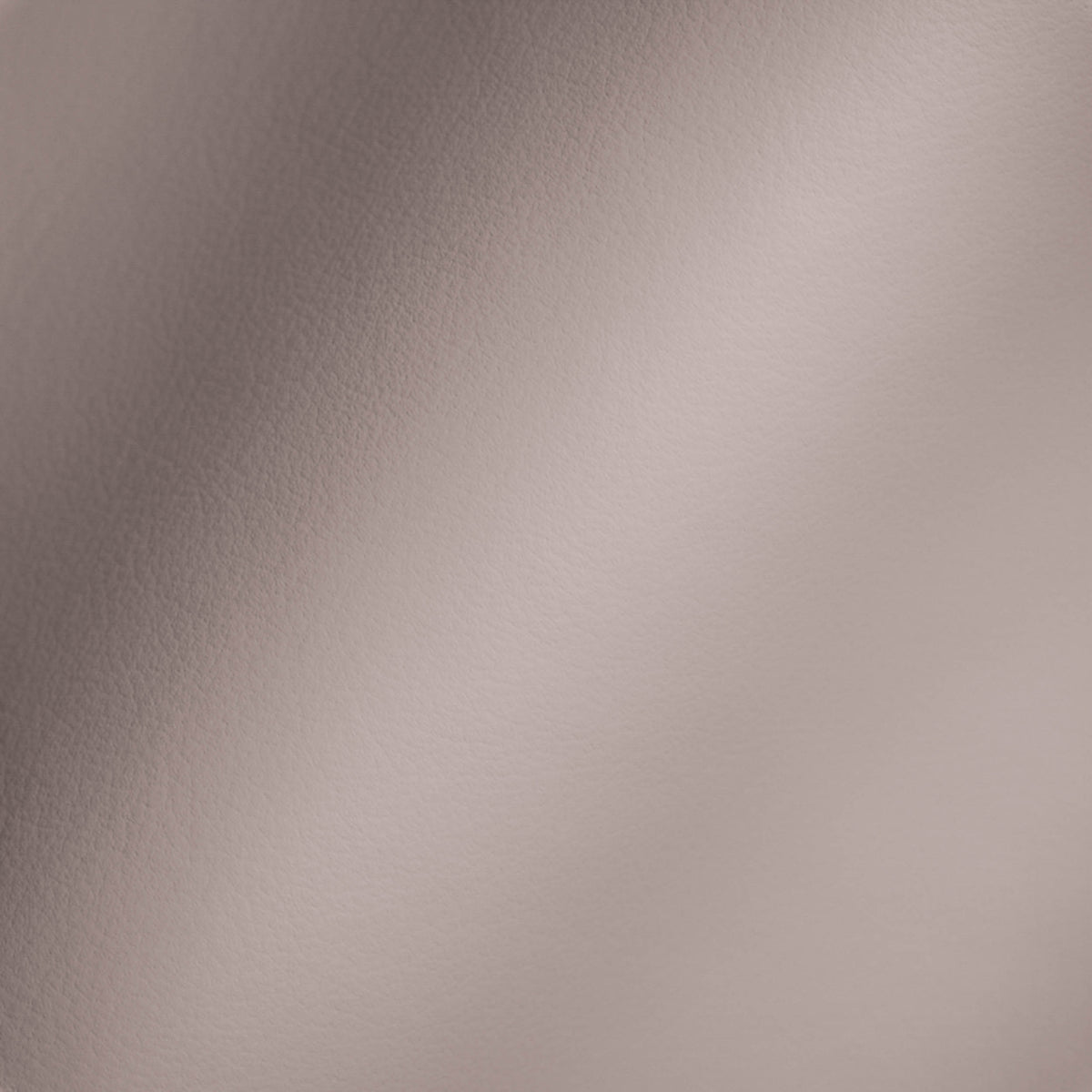 Vegan Leather