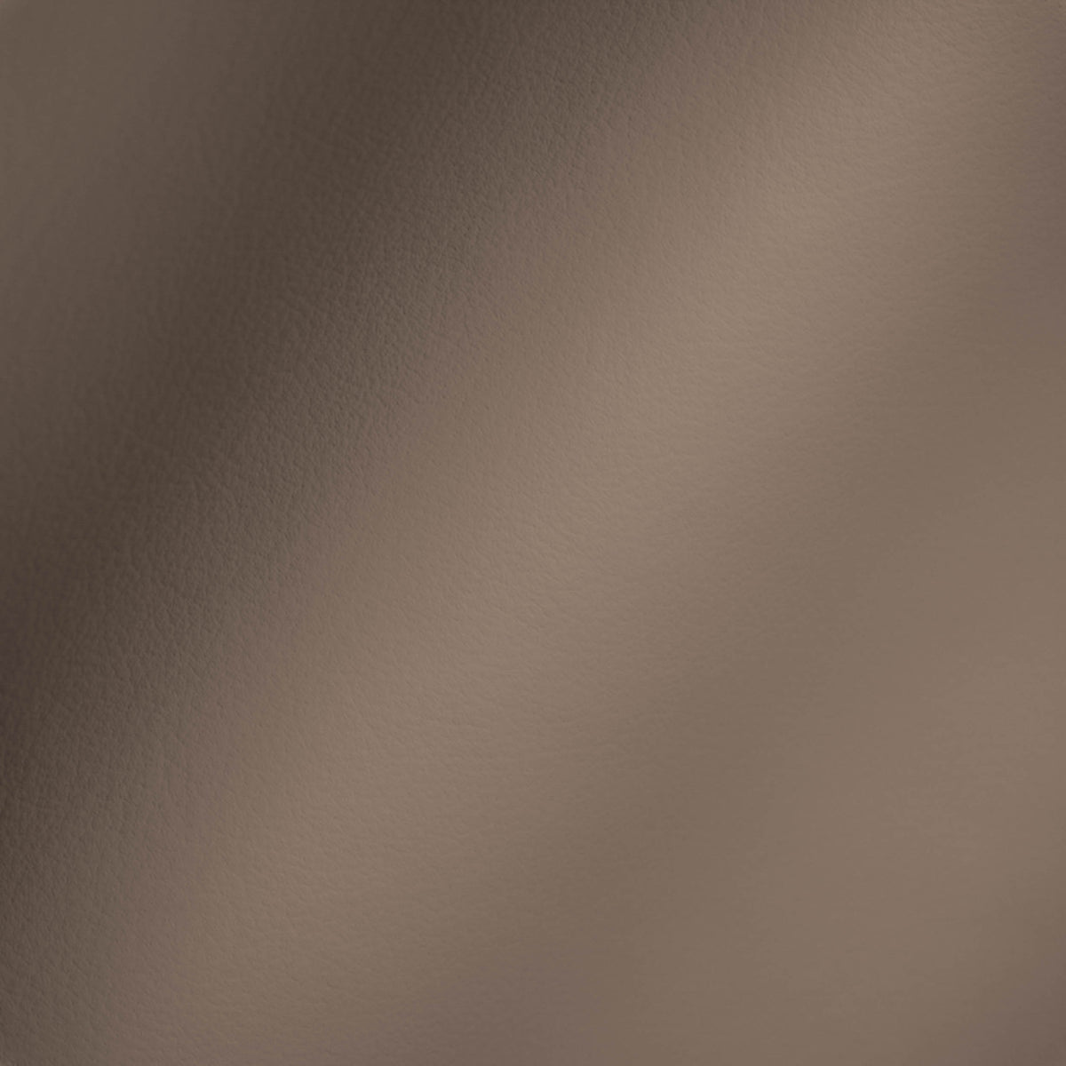 Vegan Leather