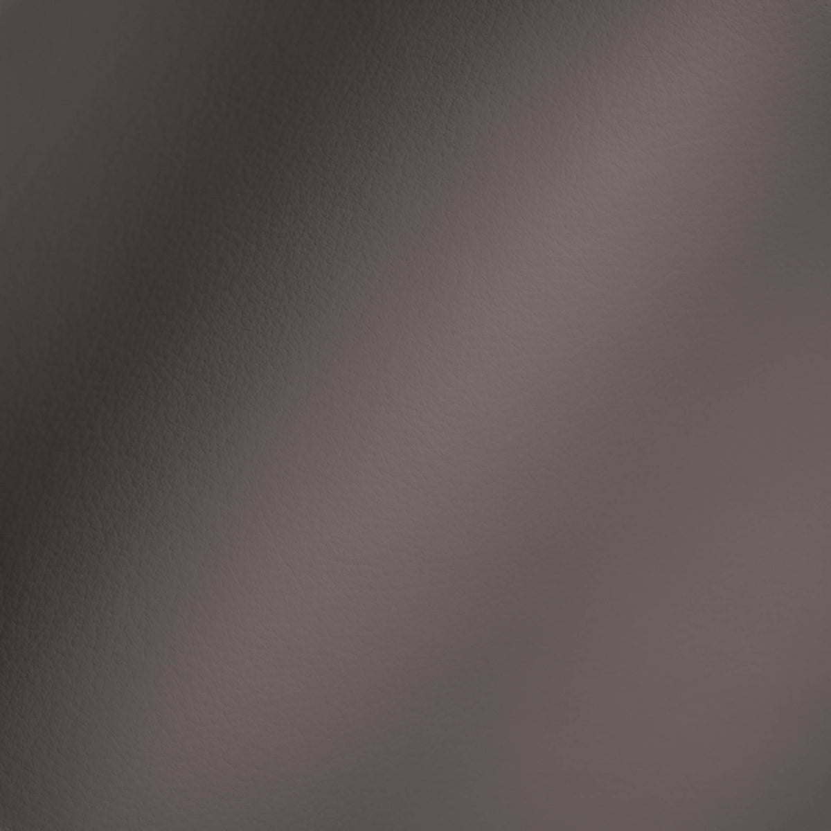 Vegan Leather