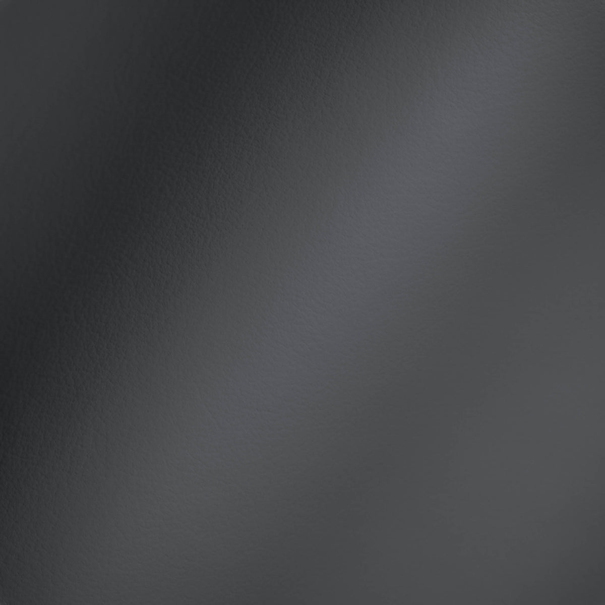 Vegan Leather