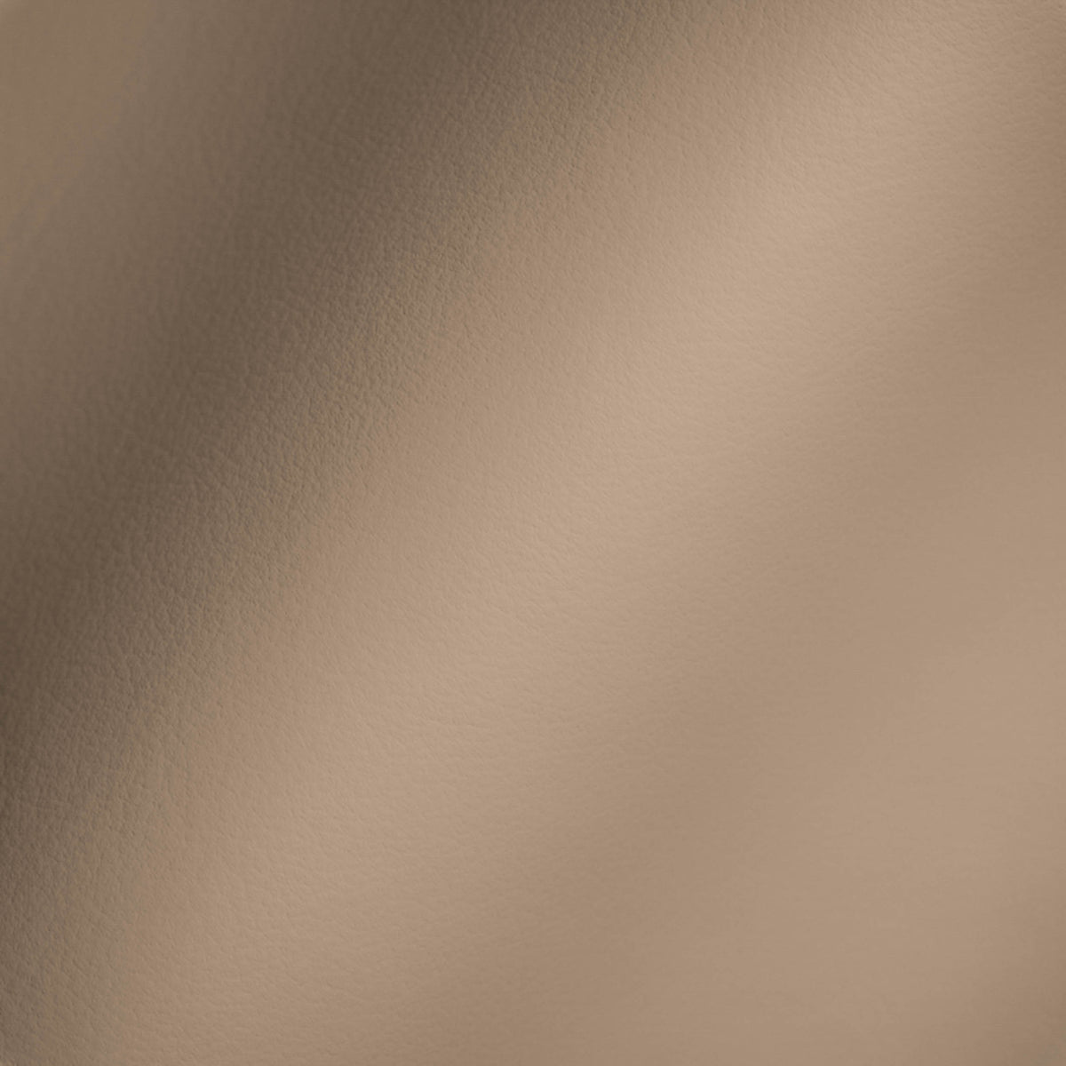Vegan Leather