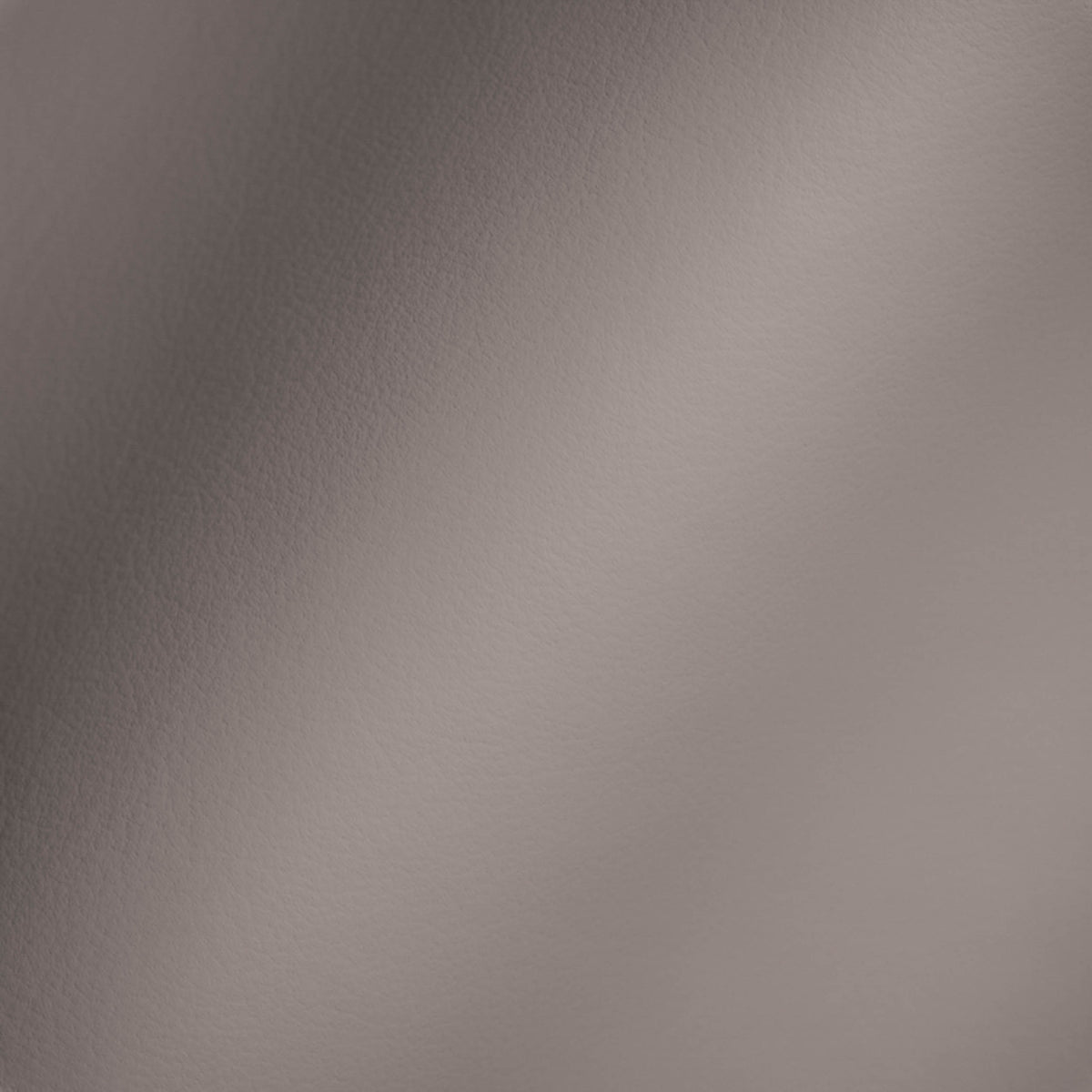 Vegan Leather