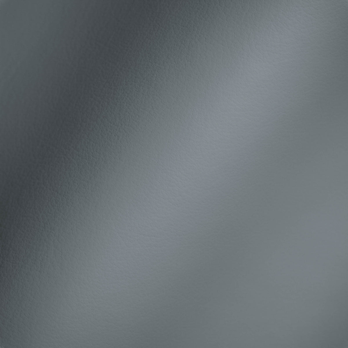 Vegan Leather