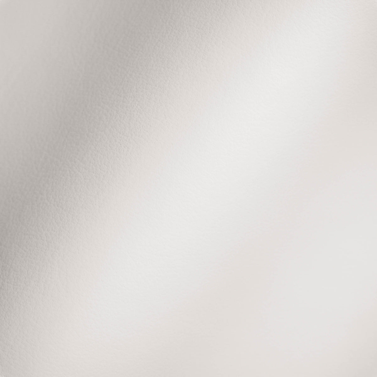 Vegan Leather