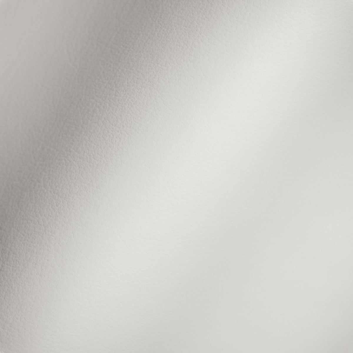 Vegan Leather