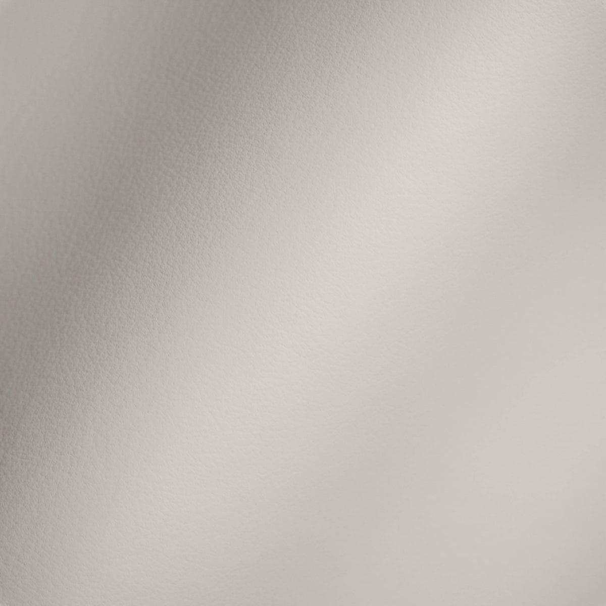 Vegan Leather