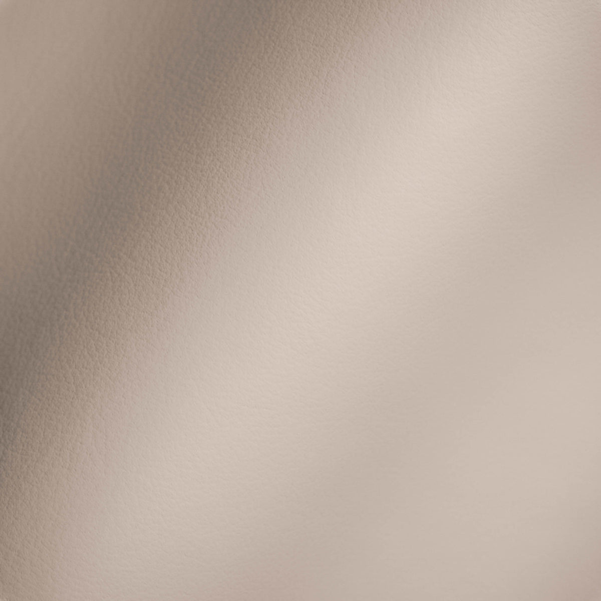 Vegan Leather