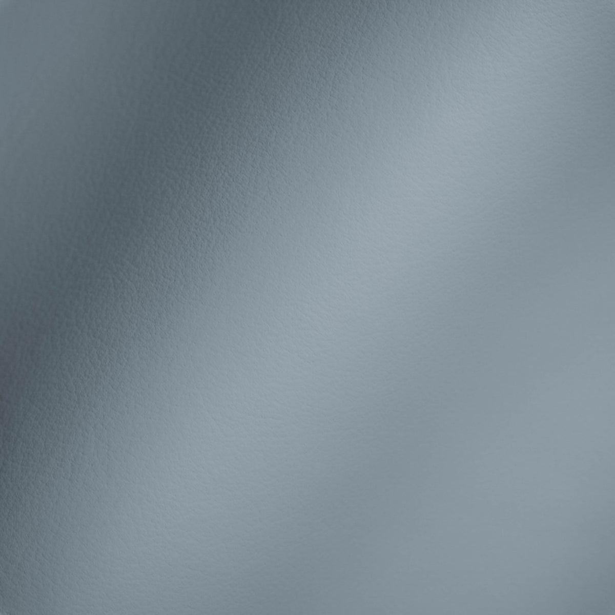 Vegan Leather