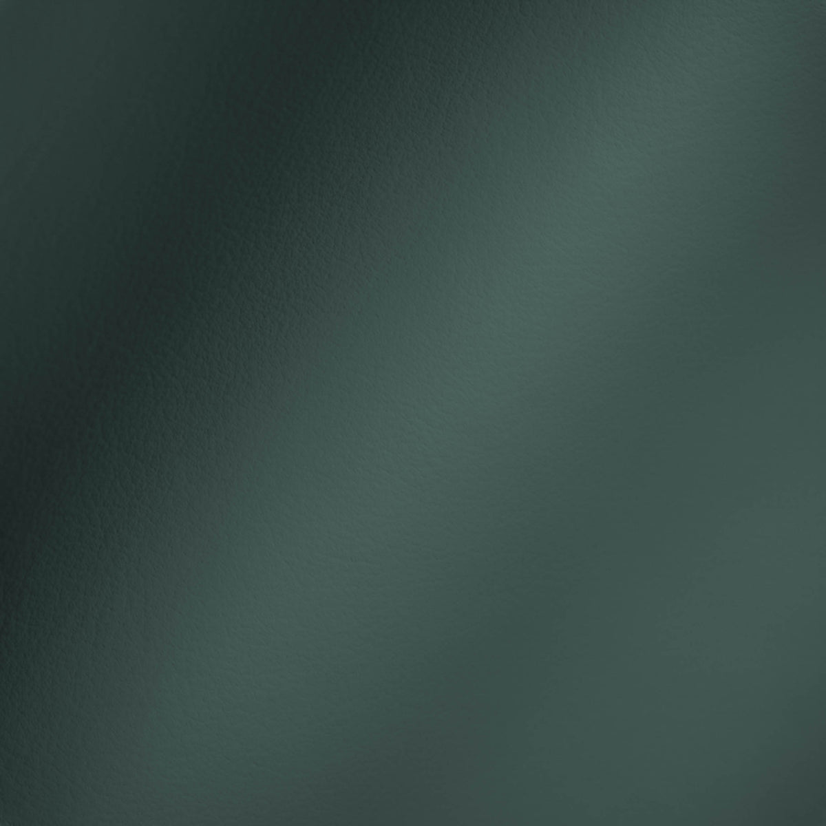 Vegan Leather