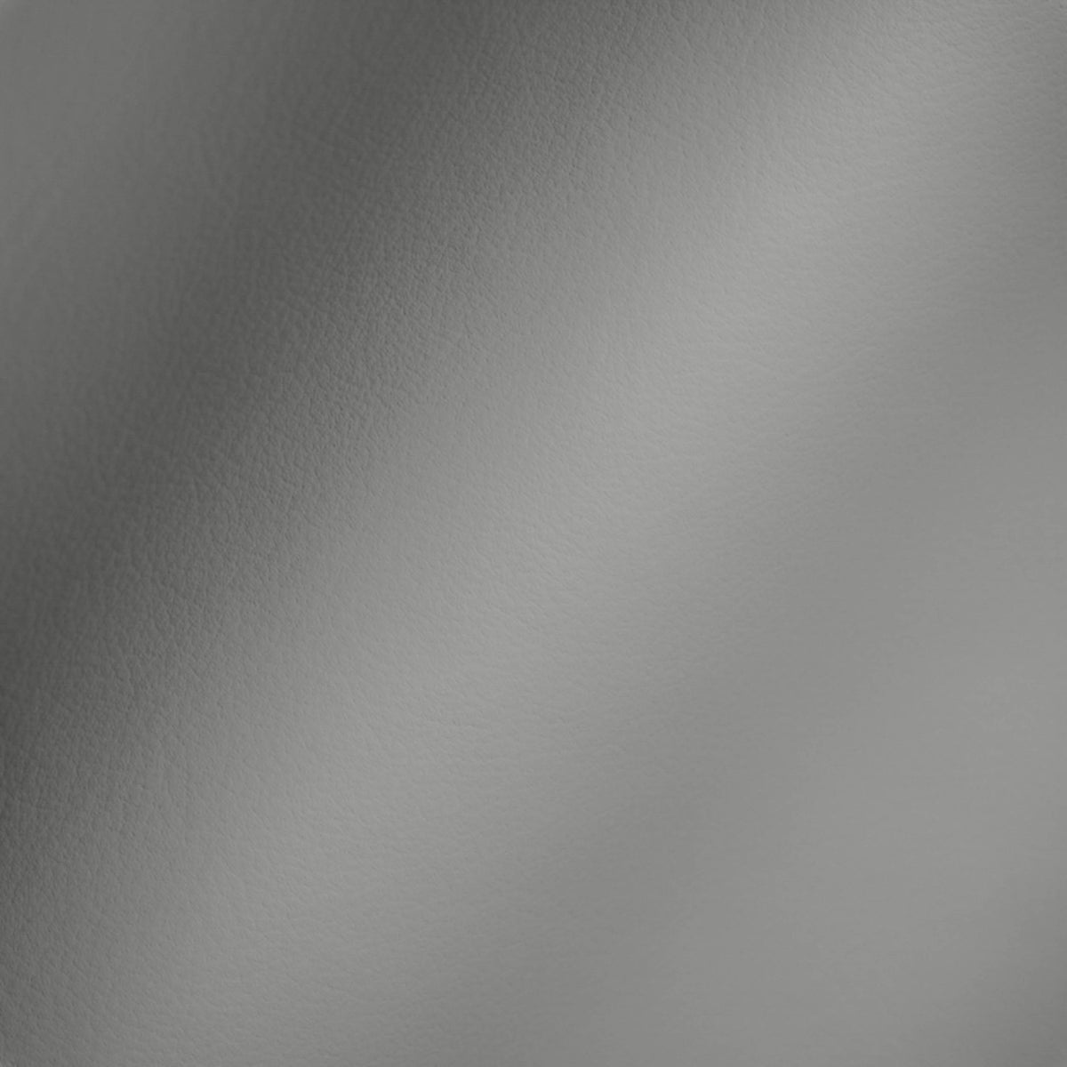 Vegan Leather
