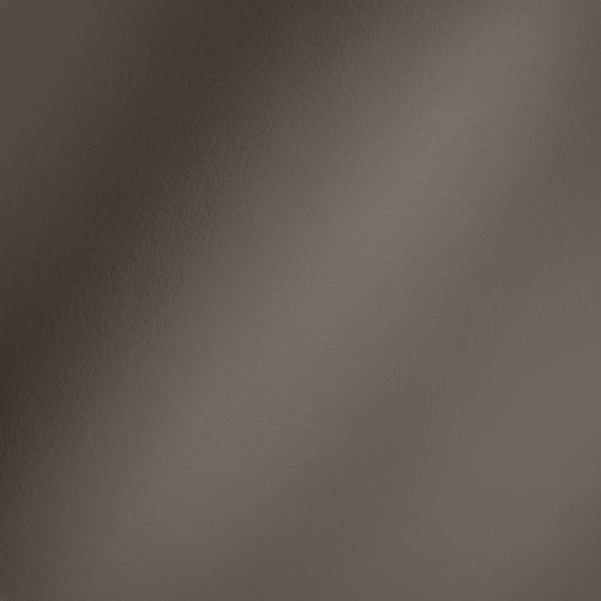 Vegan Leather