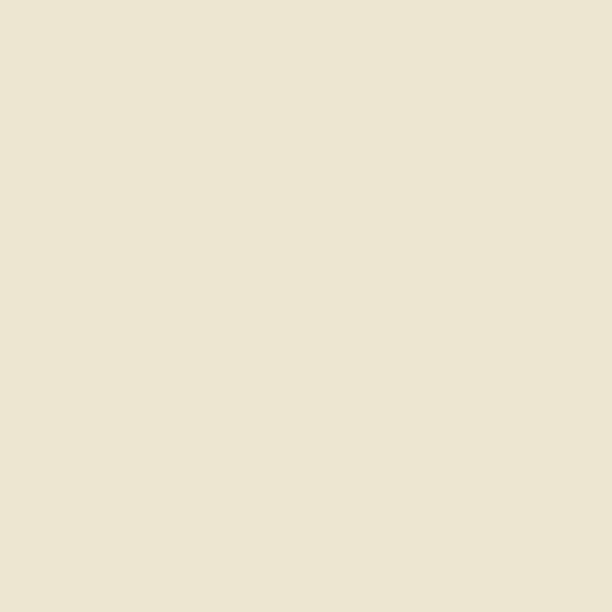 Lacquer Finishes