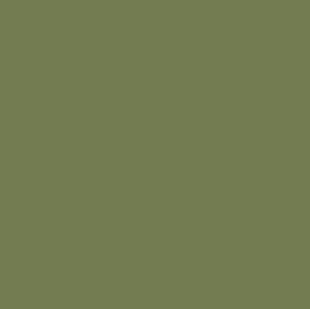 Lacquer Finishes